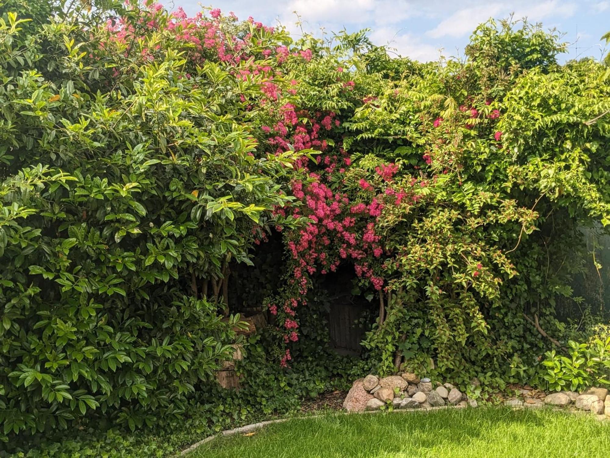 Fewo Muschel بريمرهافن المظهر الخارجي الصورة